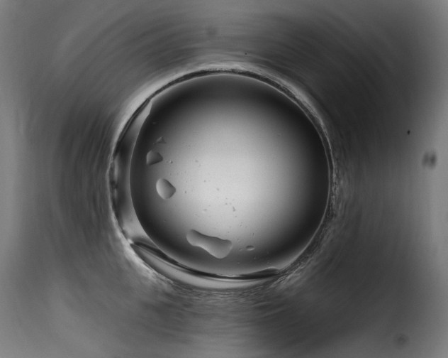 X0000116160951200911231402
