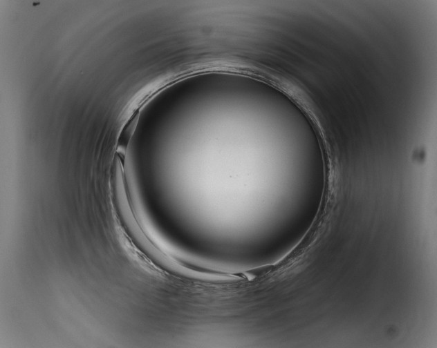 X0000116160954200911231402