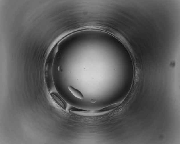 X0000116160955200911231402