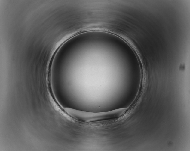 X0000116160957200911231402