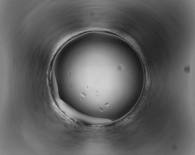 X0000116160958200911231402