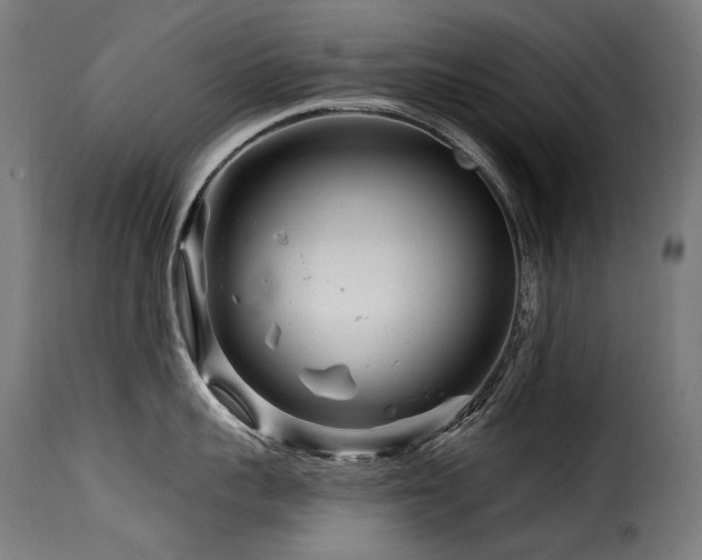 X0000116160959200911231402