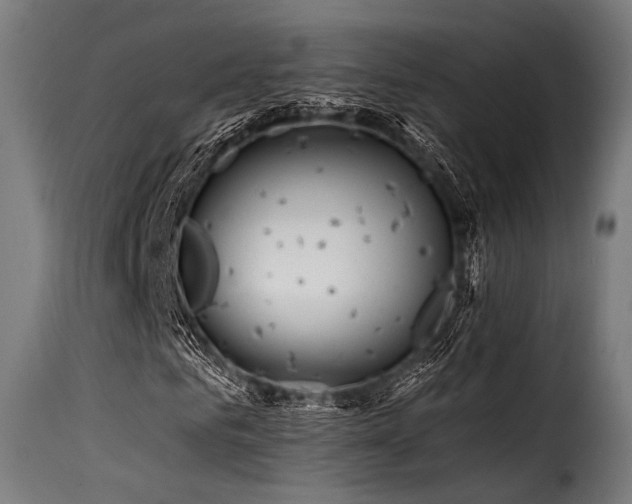 X0000116160961200911231401
