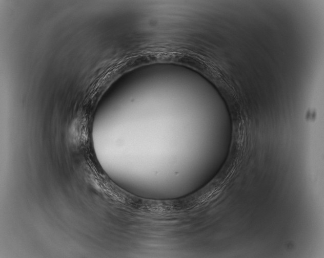 X0000116160962200911231401
