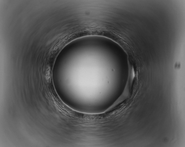 X0000116160963200911231401