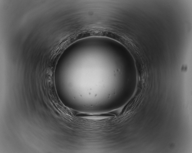 X0000116160964200911231401