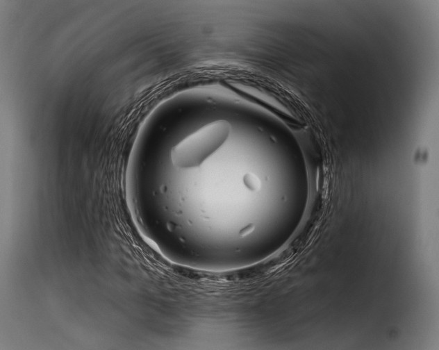 X0000116160965200911231401