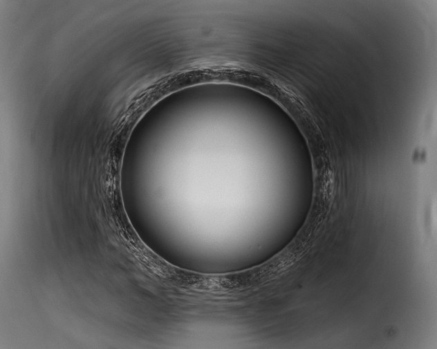X0000116160966200911231401