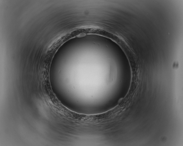 X0000116160967200911231401