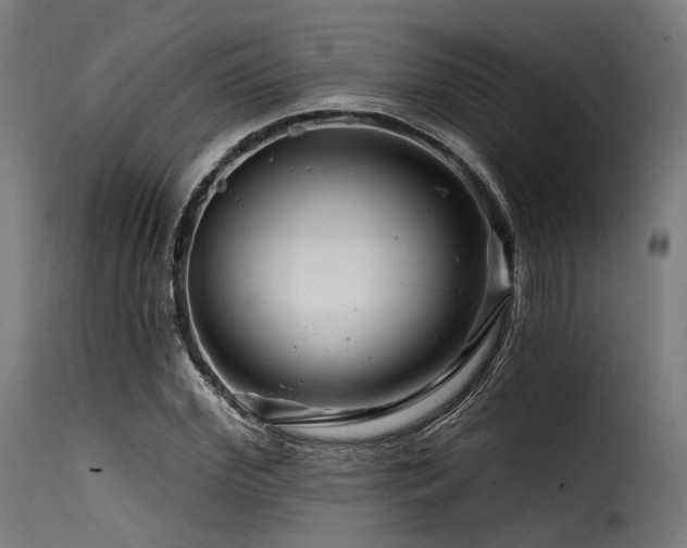 X0000116160972200911231401