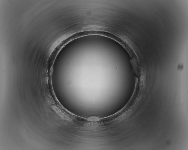 X0000116160973200911231401