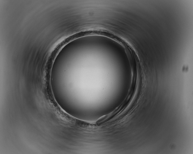 X0000116160975200911231401