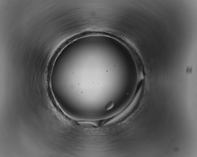 X0000116160976200911231401