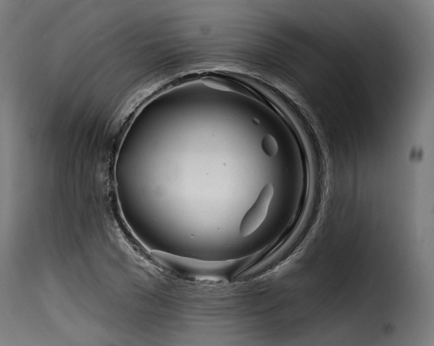 X0000116160977200911231401