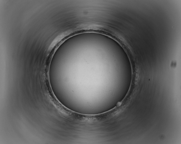 X0000116160978200911231401