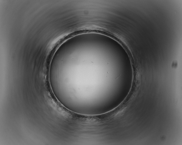 X0000116160979200911231401