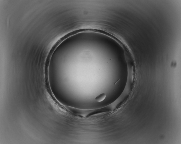 X0000116160980200911231401
