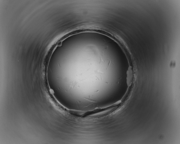 X0000116160981200911231401