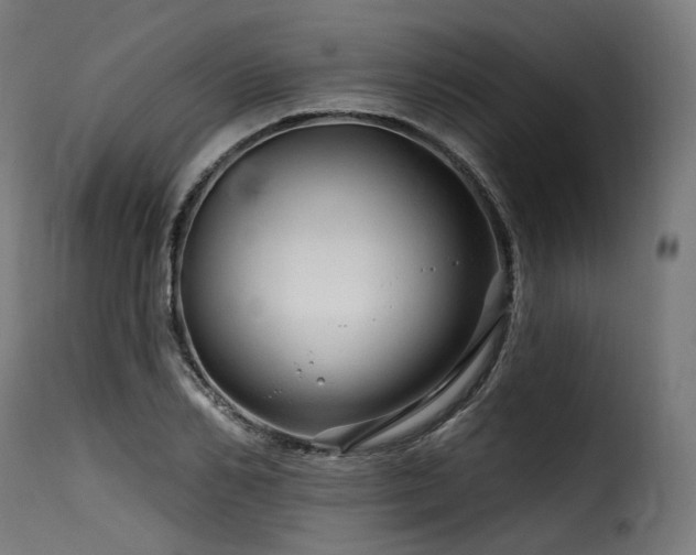 X0000116160982200911231401
