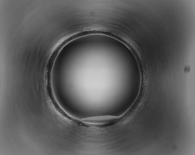 X0000116160983200911231401