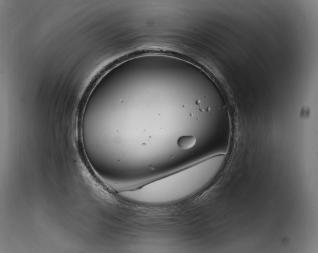 X0000116160984200911231401