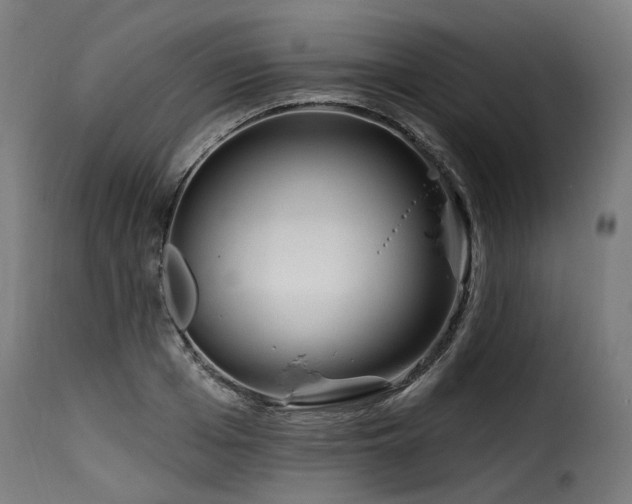X0000116160985200911231401