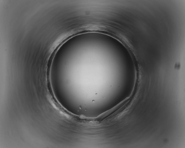 X0000116160986200911231401