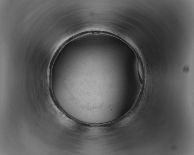 X0000116160988200911231401
