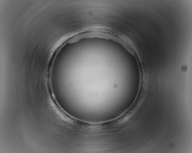X0000116160989200911231401