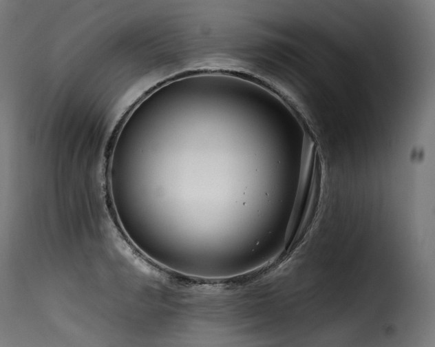 X0000116160990200911231401