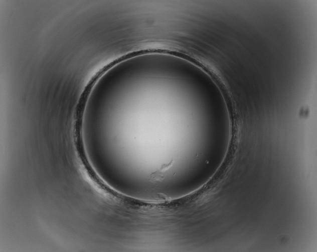 X0000116160991200911231401