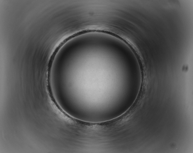 X0000116160992200911231401