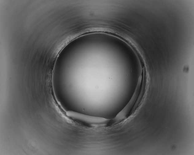 X0000116160993200911231400