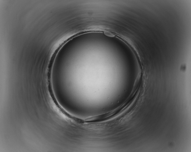X0000116160995200911231400