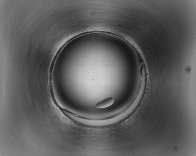 X0000116160996200911231400