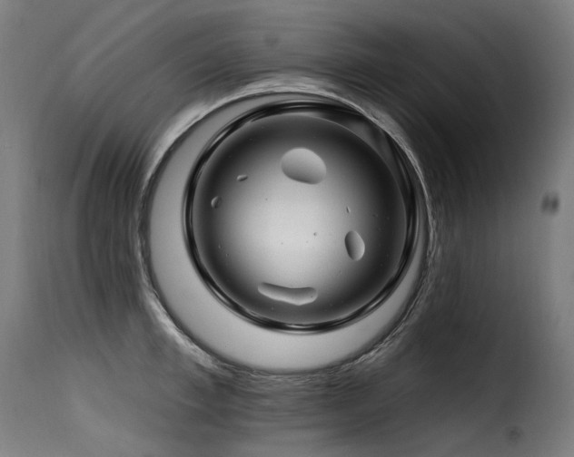 X0000116160997200911231400