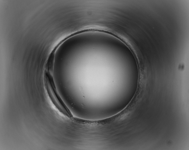 X0000116160999200911231400