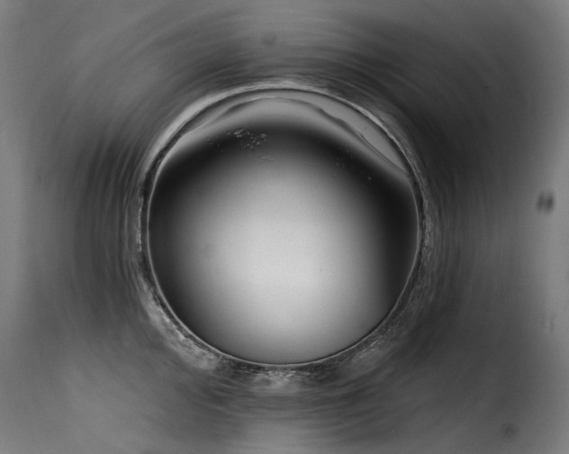X0000116161000200911231400
