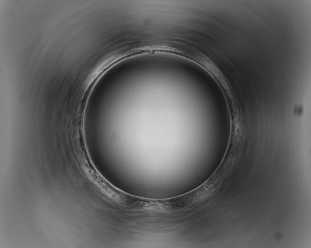 X0000116161002200911231400