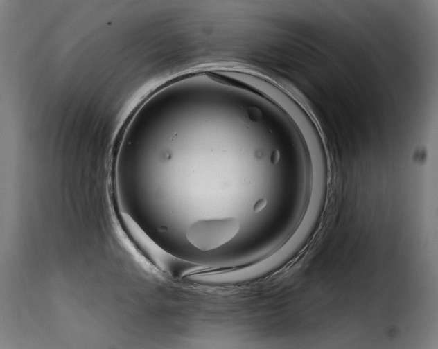 X0000116161005200911231400