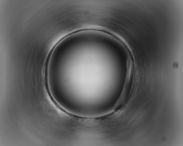 X0000116161007200911231400