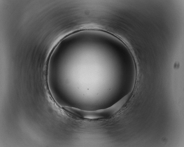 X0000116161008200911231400