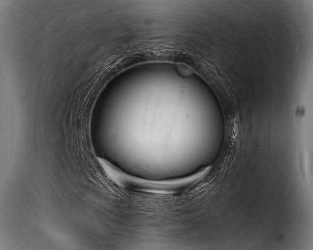 X0000116161009200911231359