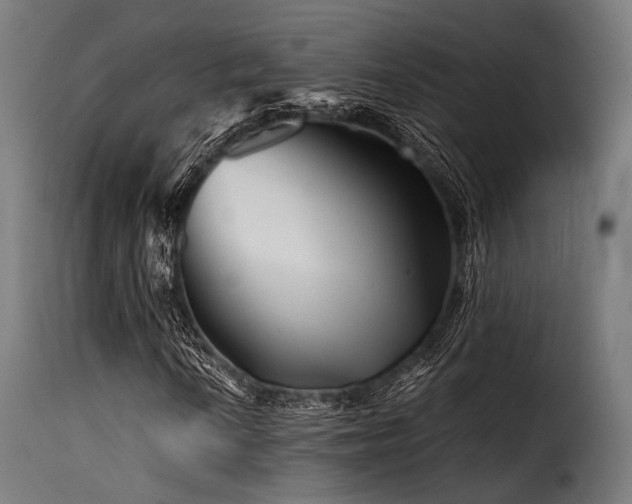 X0000116161010200911231359