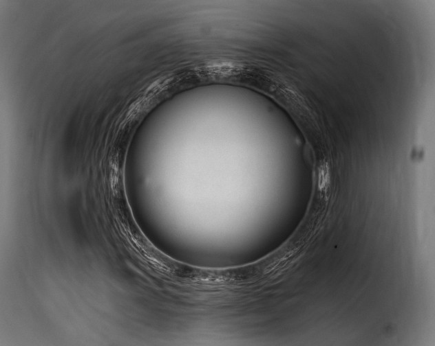 X0000116161011200911231359