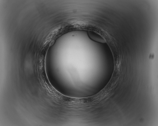 X0000116161012200911231359