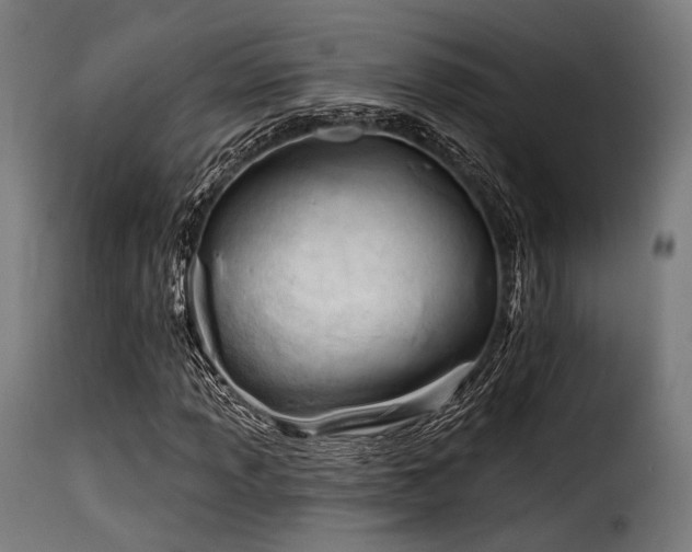 X0000116161013200911231359