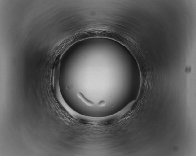 X0000116161014200911231359