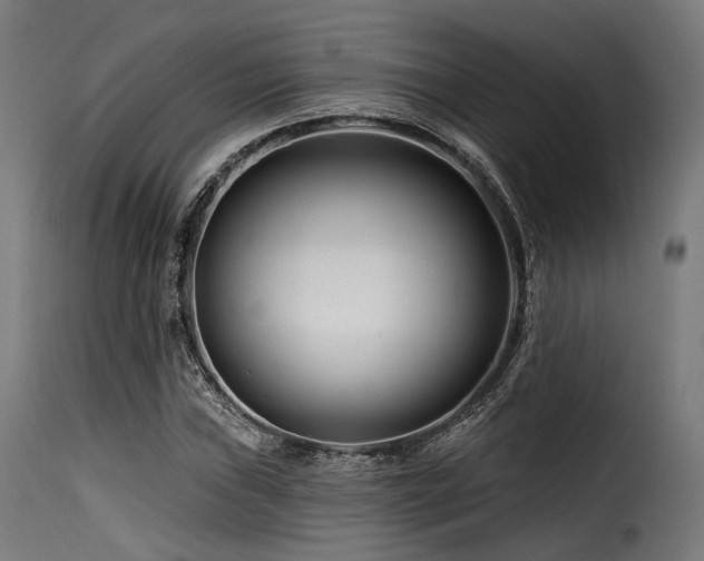 X0000116161019200911231359