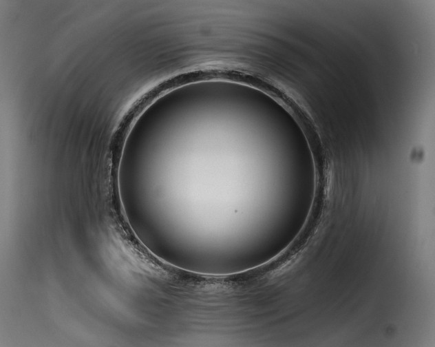 X0000116161021200911231400